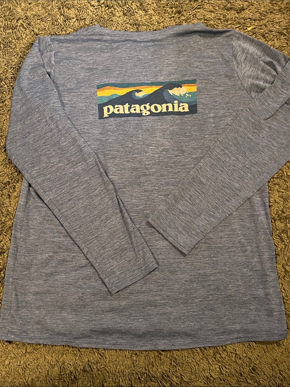 Patagonia women Heather Light Blue Crewneck with Wave Logo